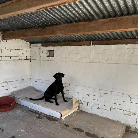 The Kennels Villa Hexham Exterior photo