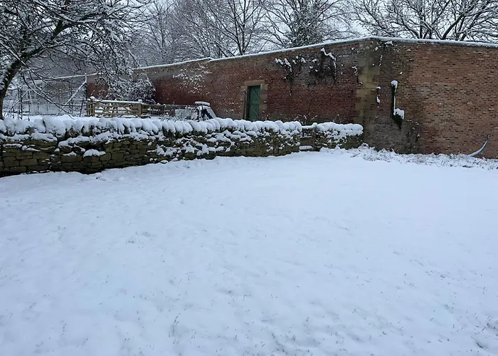 The Kennels